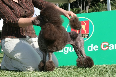 Victory wind's - Aphrodite est championne internationale