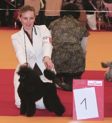 Victory wind's - Bimba et Jook sont Champions de France !!